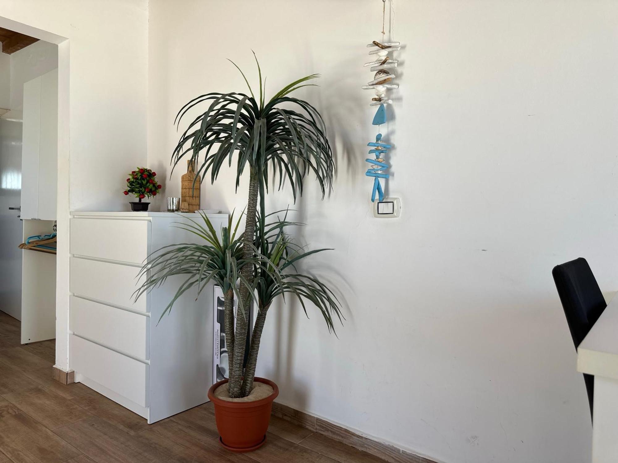 Appartement Casa Tud Dret - Luxurious